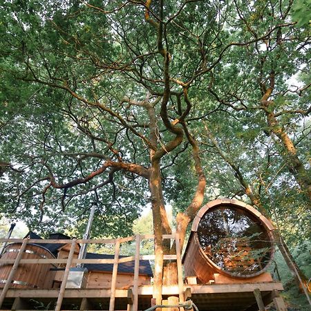 Chestnut Tree House With Hot Tub & Sauna บาร์มัธ ภายนอก รูปภาพ